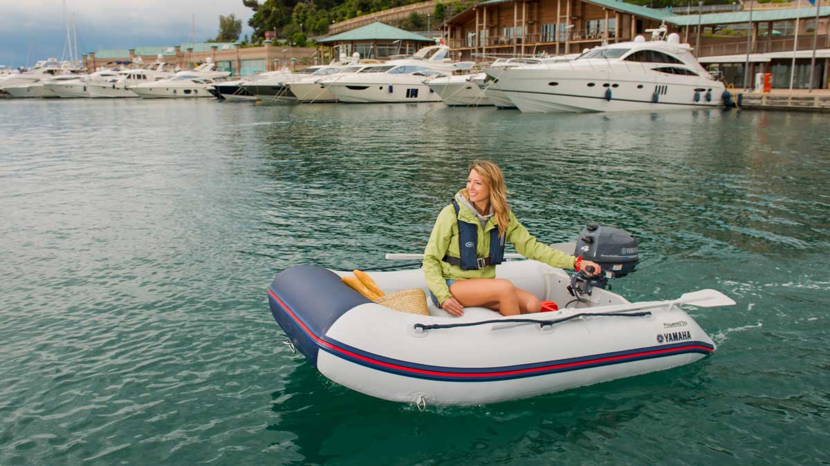 Wholesale 30hp motor rib In Different Sizes And Horsepower